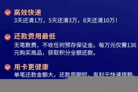 桐城桐城的要账公司在催收过程中的策略和技巧有哪些？